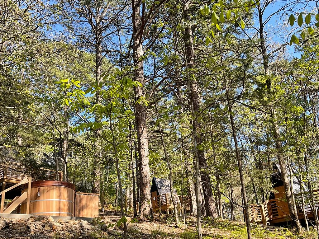 Engage Your Senses And Relax In Nature With A Forest Bath Engage your senses and relax in nature with a forest bath